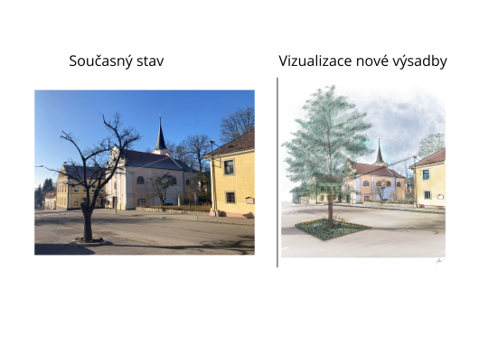 Potřeba obměny lípy na nadějkovském náměstí