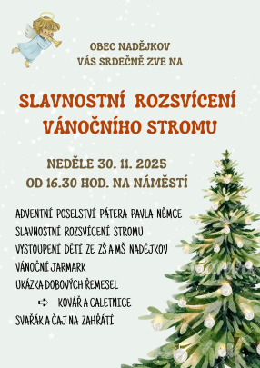 Rozsvícení vánočního stromu